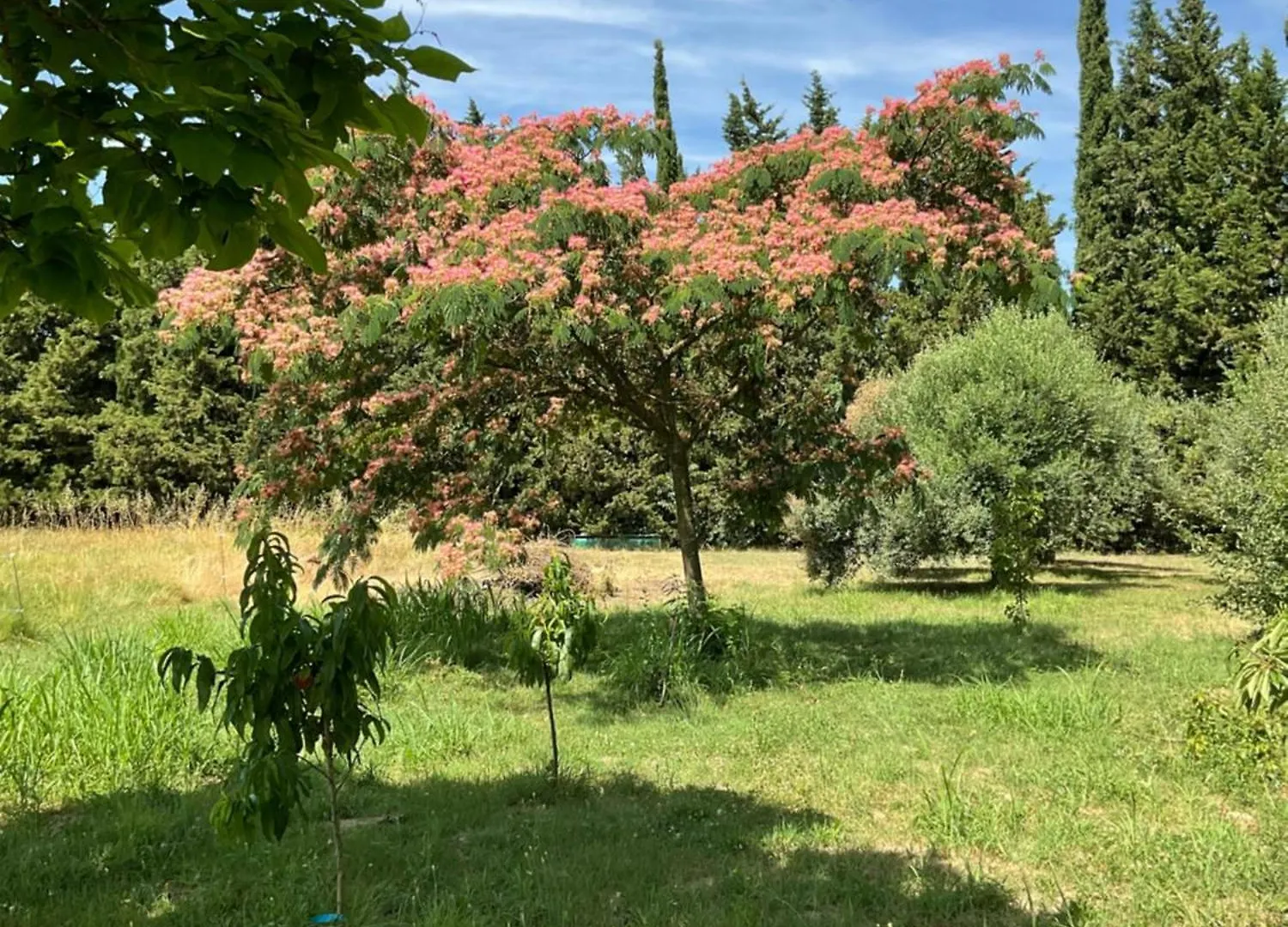Domaine Des Petites Iles Villa La Celle-sous-Gouzon Donzere
